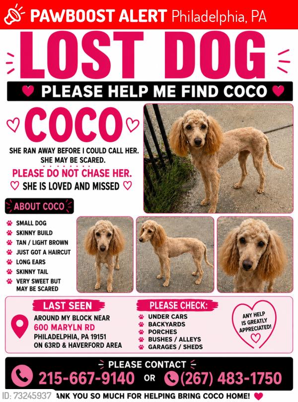 Lost Female Dog last seen N/A, Philadelphia, PA 19151