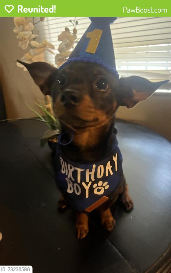 Reunited Male Dog last seen 9th and western ave, San Bernardino, CA 92411