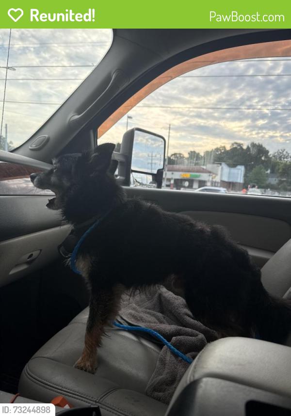 Reunited Male Dog last seen Was sitting on my porch, Chattanooga, TN 37412