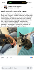 Lost Female Cat last seen public rd and ganeso, Lafayette, CO 80026