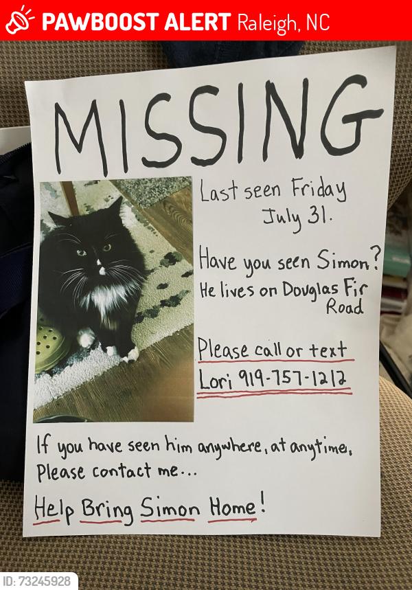 Lost Male Cat last seen Longleaf ests, Douglas Fir Rd. Raleigh, Raleigh, NC 27616