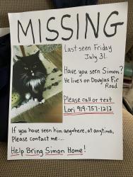 Lost Male Cat last seen Longleaf ests, Douglas Fir Rd. Raleigh, Raleigh, NC 27616
