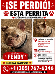 Lost Female Dog last seen Miami, Miami Gardens, FL 33056