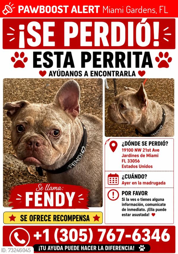 Lost Female Dog last seen Miami, Miami Gardens, FL 33056
