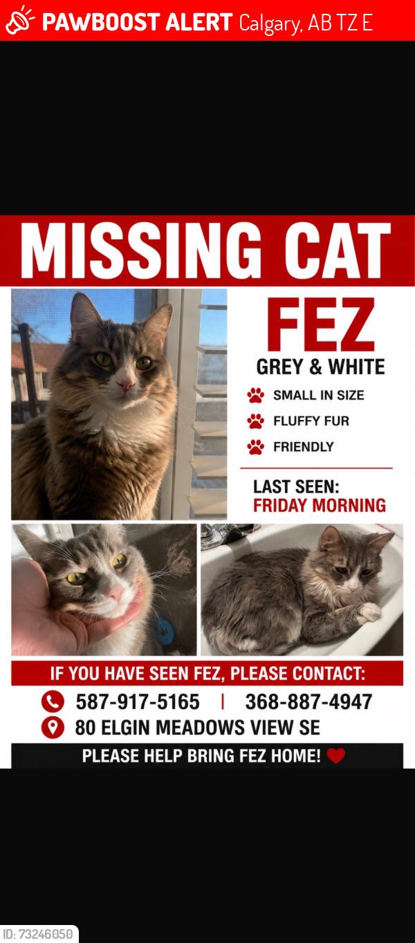 Lost Male Cat last seen Sobeys, Calgary, AB T2Z 0E9