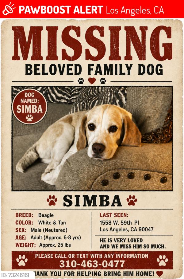 Lost Male Dog last seen Denker and 59th pl, Los Angeles, CA 90047