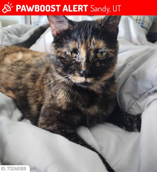 Lost Female Cat last seen Trax, Sandy, UT 84070