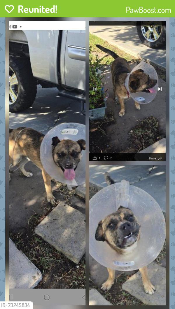 Reunited Male Dog last seen Lanaca St., South San Jose Hills, CA 91792