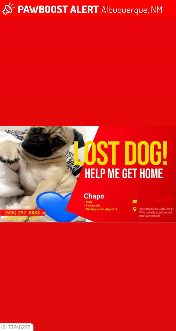Lost Male Dog last seen alameda second st, Albuquerque, NM 87114