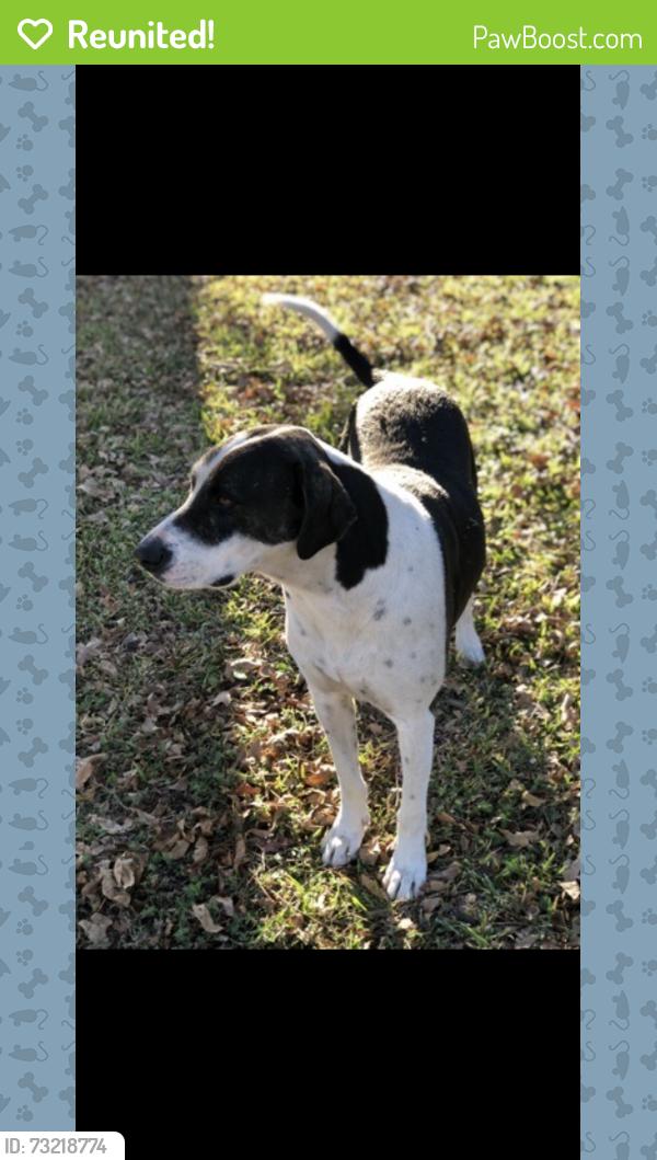 Reunited Male Dog last seen West Waggoman st and Hemphill st, Fort Worth, TX 76110