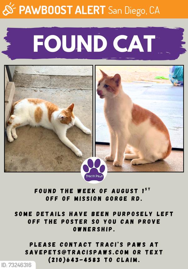 Found/Stray Male Cat last seen (owner must verify), San Diego, CA 92120