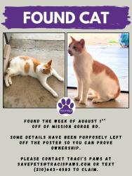 Found/Stray Male Cat last seen (owner must verify), San Diego, CA 92120