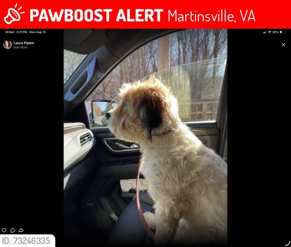 Lost Male Dog last seen Near Terrys mountain rd, Martinsville, VA 24112