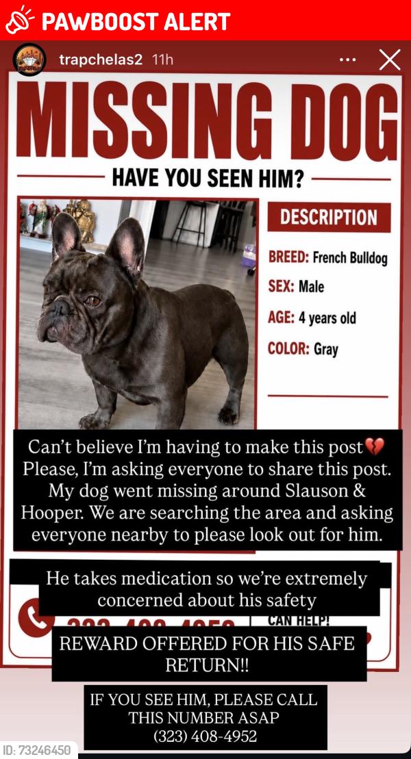 Lost Male Dog last seen Slasoun and hooper, Florence-Graham, CA 90011