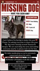 Lost Male Dog last seen Slasoun and hooper, Florence-Graham, CA 90011