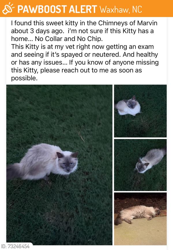 Found/Stray Female Cat last seen Stonesby Lane & Julian Glen, Waxhaw, NC 28173