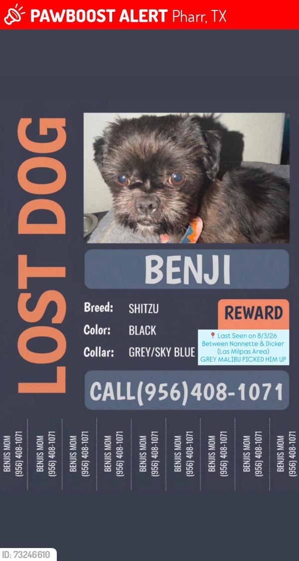 Lost Male Dog last seen Nannette and dicker rd, Pharr, TX 78577