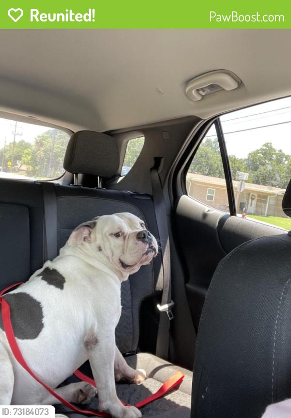 Reunited Male Dog last seen E Cheryl ave and DS training office, Bedford, TX 76022