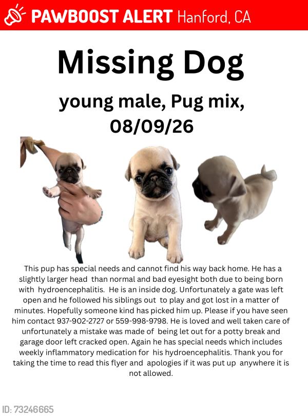 Lost Male Dog last seen Tempe, Hanford, CA 93230