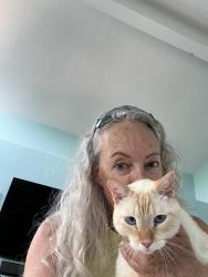 Reunited Male Cat last seen 82nd and Berger, Los Angeles, CA 90293