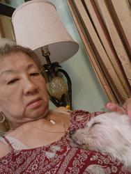 Reunited Female Dog last seen Ave 42 and lytelle, Los Angeles, CA 90065