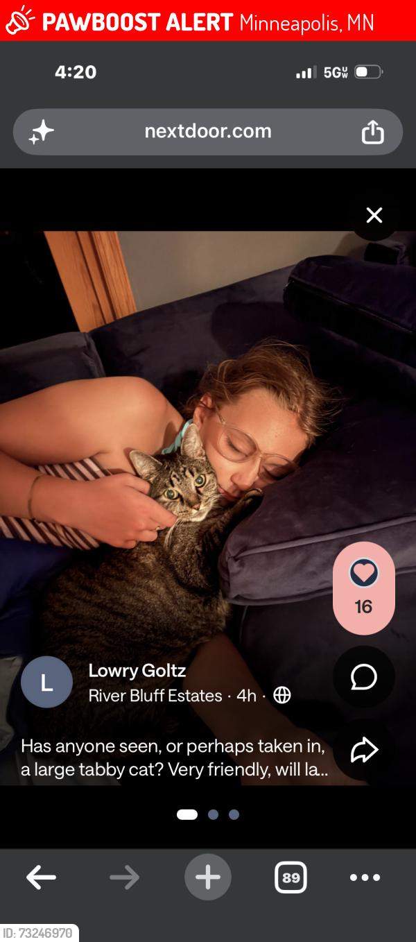 Lost Male Cat last seen Masonic Home, Minneapolis, MN 55437