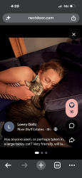 Lost Male Cat last seen Masonic Home, Minneapolis, MN 55437