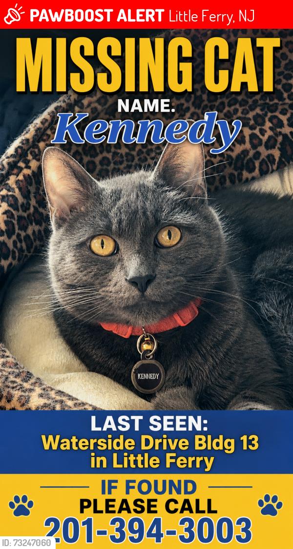 Lost Male Cat last seen Waterside Apts Little Ferry NJ, Little Ferry, NJ 07643