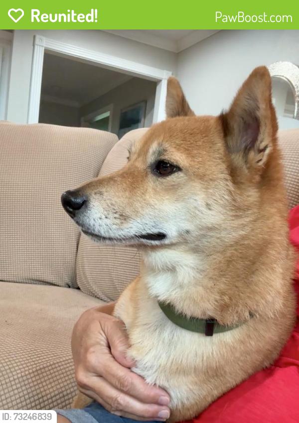 Reunited Male Dog last seen Space Center Blvd, Pasadena, TX, USA, Pasadena, TX 77505