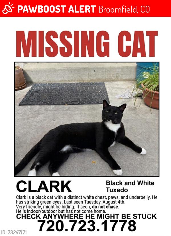 Lost Male Cat last seen 120th and Greennway Drive North, Broomfield, CO 80020