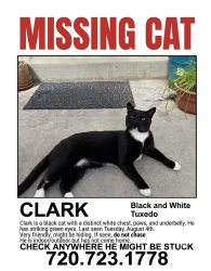 Lost Male Cat last seen 120th and Greennway Drive North, Broomfield, CO 80020