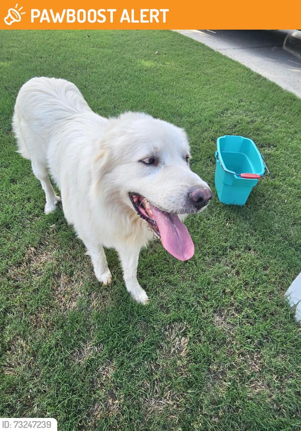 Found/Stray Male Dog last seen Centerville Rosebud Rd, Gwinnett County, GA 30039