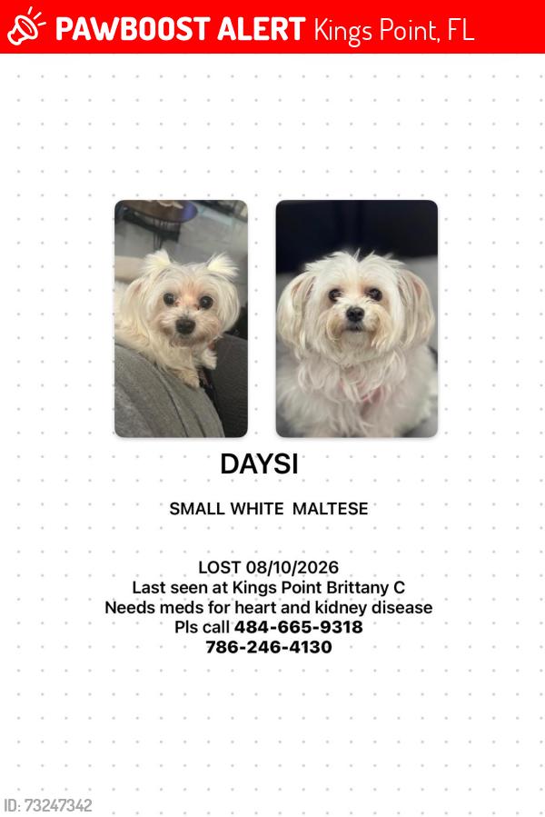 Lost Female Dog last seen Brittany, Kings Point, FL 33446