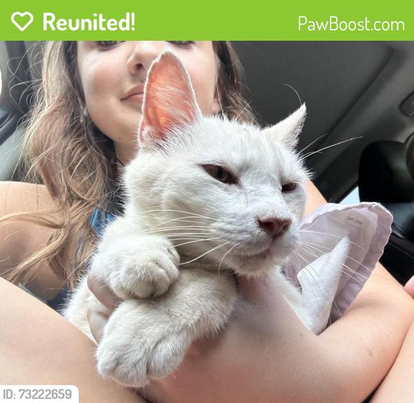 Reunited Male Cat last seen Berry Garden Drive by smiley driving range, Kernersville, NC 27284