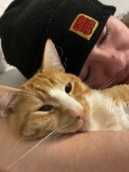 Lost Male Cat last seen Chain lake rd, Monroe, WA 98272