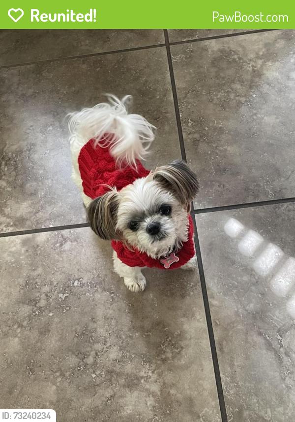 Reunited Female Dog last seen near morse park, Elk Grove, CA 95757