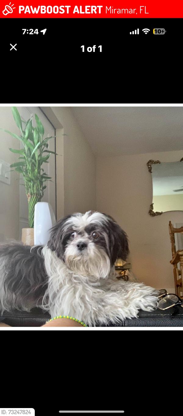 Lost Female Dog last seen hse, Miramar, FL 33023
