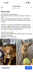Lost Female Dog last seen Airport Rd, Conroe, TX 77301