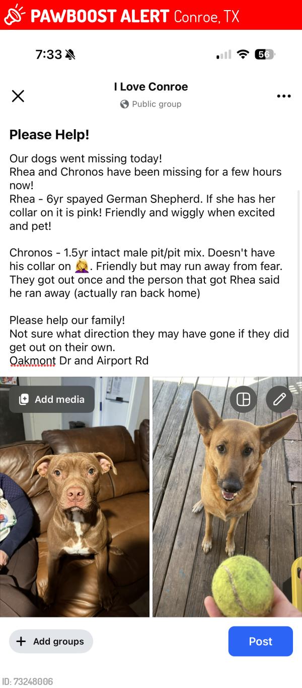 Lost Female Dog last seen Airport Rd, Conroe, TX 77301