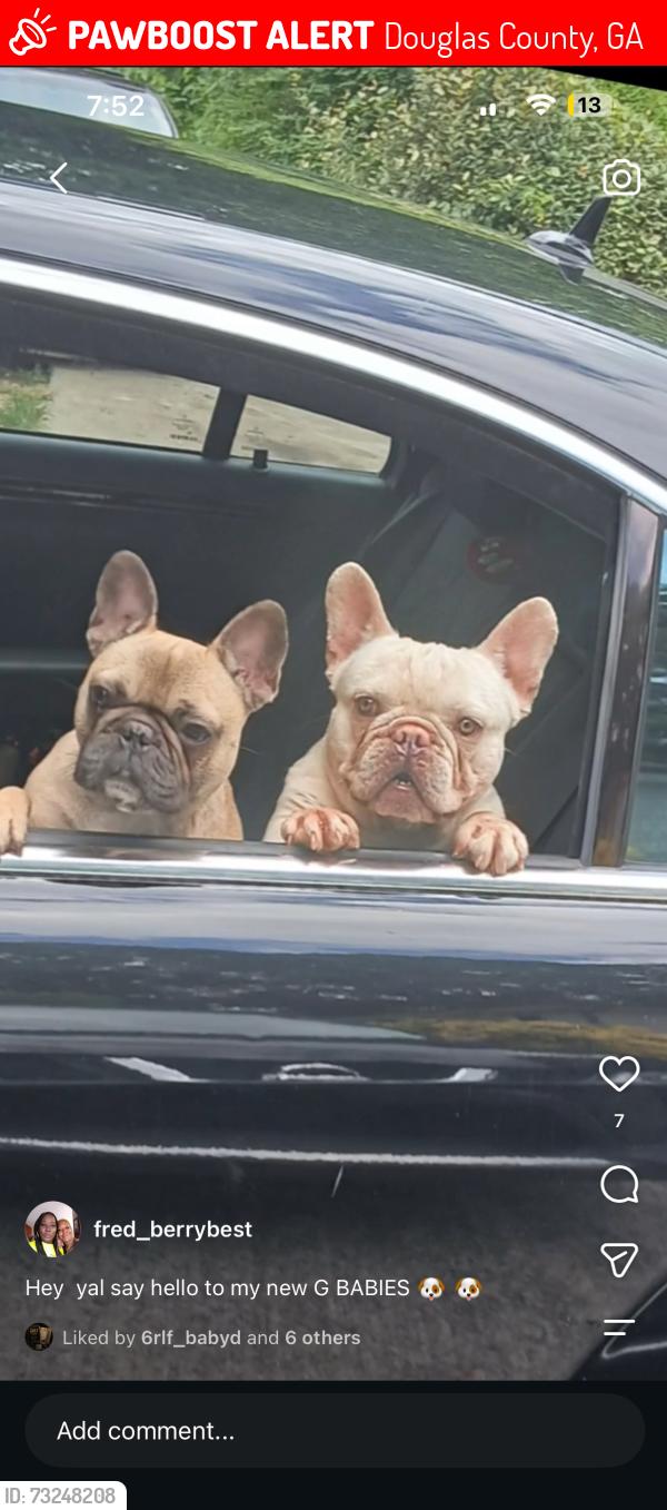 Lost Male Dog last seen clover ln and meadow dr, Douglas County, GA 30122