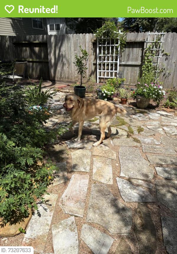 Reunited Male Dog last seen West Lake Houston Parkway and Appalachian Trail, Houston, TX 77345