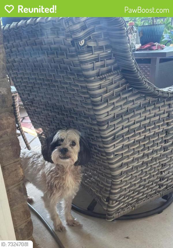 Reunited Unknown Dog last seen Scout Rd, Lenoir, NC 28645