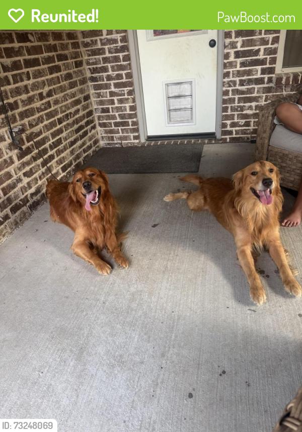 Reunited Unknown Dog last seen Near DBat, Lewisville, TX 75057