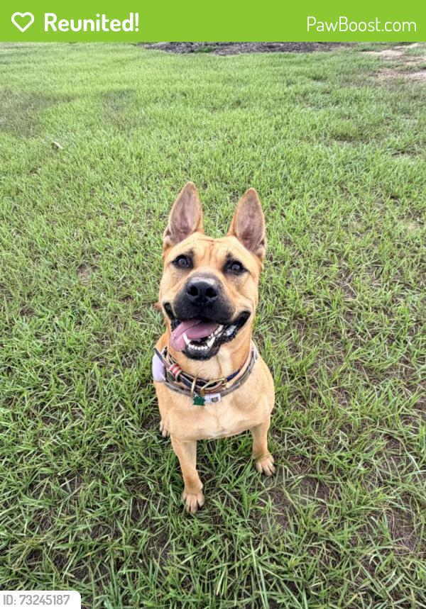 Reunited Male Dog last seen The ranches and heatherwood Inverness, Inverness, FL 34452