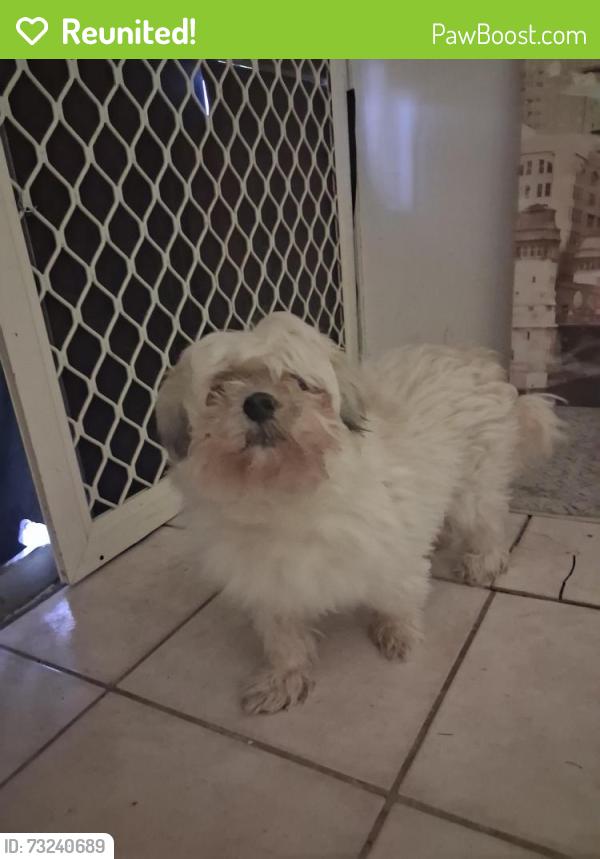 Reunited Unknown Dog last seen Pope ave, Strathpine, QLD 4500