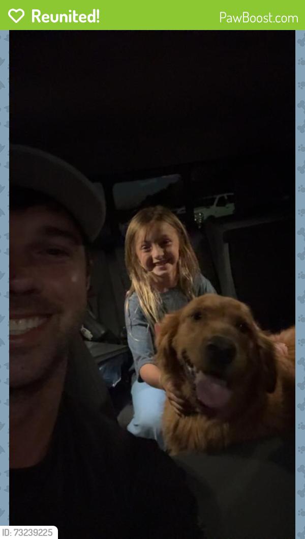 Reunited Female Dog last seen Near county road 3704, Athens, TX 75752