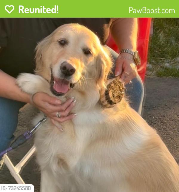 Reunited Male Dog last seen El nido and Orange by Orange Vista High school, Perris, CA 92571