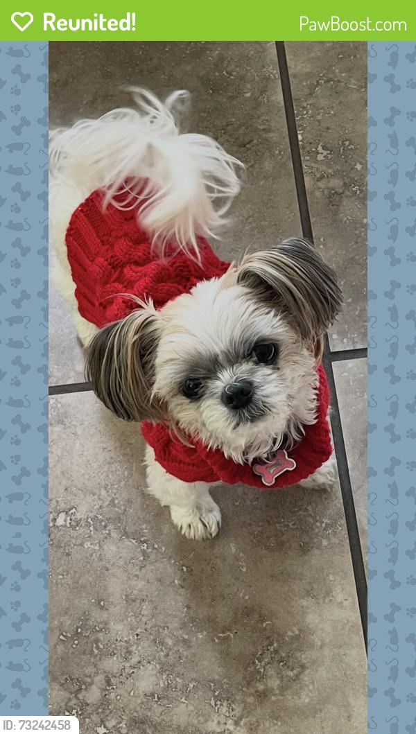Reunited Female Dog last seen Harvest park way, Elk Grove, CA 95757