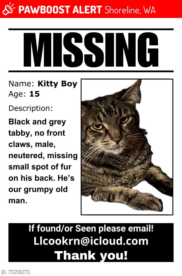 Lost Male Cat last seen Holyrood cemetary, Shoreline, WA 98155