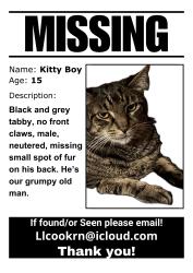 Lost Male Cat last seen Holyrood cemetary, Shoreline, WA 98155